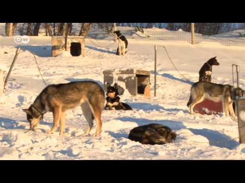 Euromaxx Highlights 15 Feb 2014 | Euromaxx