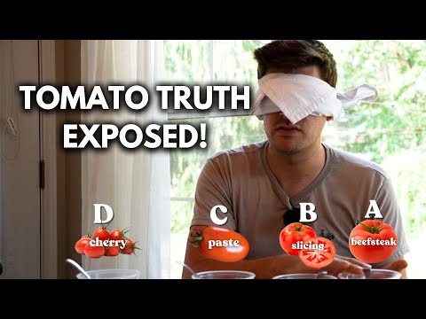 Do Paste Tomatoes Really Make the Best Canned Sauce?