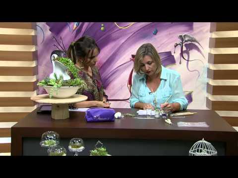 Mulher.com 03/25/2015 Alessandra Assi - Succulents in biscuit Part 2/2