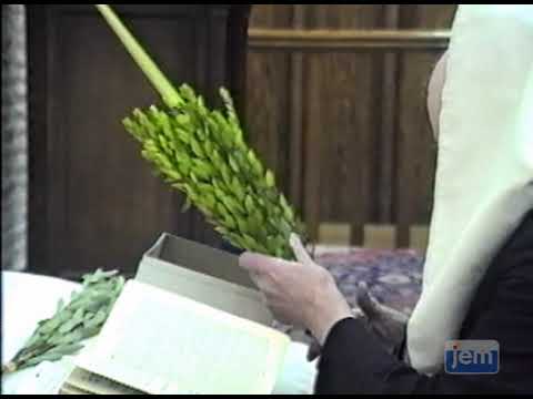 The Final Day of Sukkos: Hoshana Rabba | Highlights from 770
