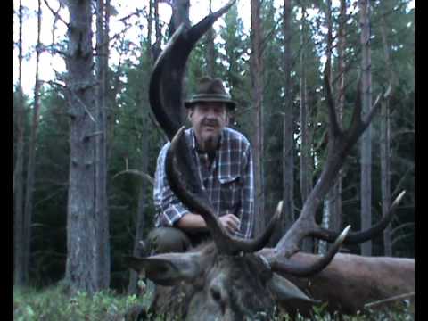 Kapitaler alter Recken erlegt!