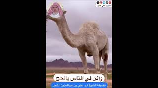 أ.د. علي الشبل | وأذن في الناس بالحج image