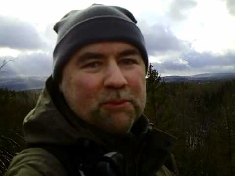 Aussicht von der Taubenklippe im Harz