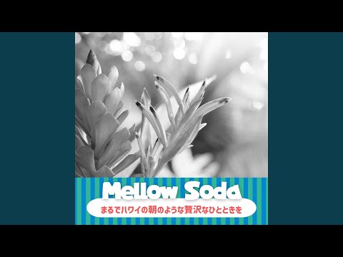 スイミングプールに塩素を入れるのはいつですか?この夏、透明な炭酸水を飲むための完全ガイド  庭園