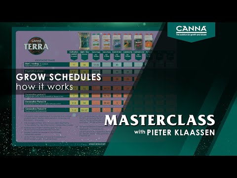 CANNA Masterclass Folge 2 – Die Wachstumspläne