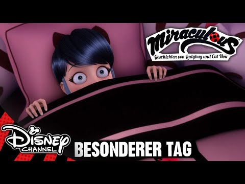 Tag der Helden | MIRACULOUS 🐞🐱