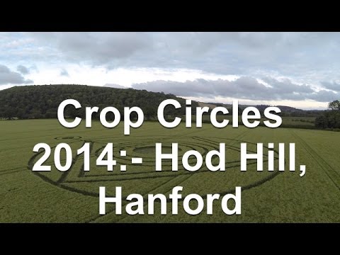 Crop Circle 2014 - Hod Hill, Hanford, Dorset. An Aerial View