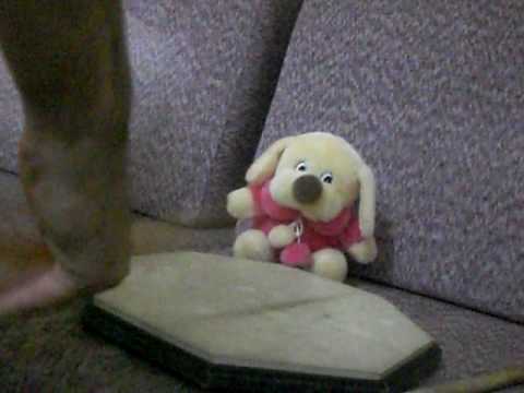 315 bpm -16th notes- Finger Blasting !! [Youtube Record]