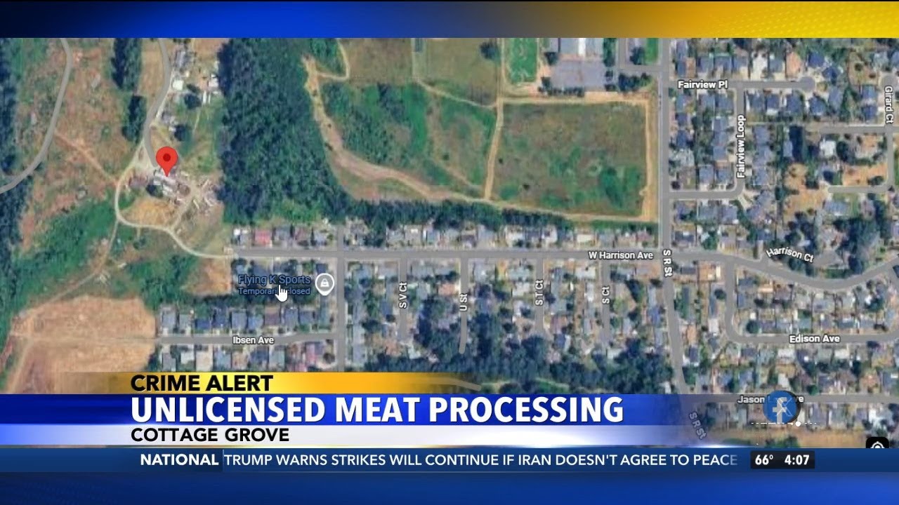 Unlicensed Meat Processing Plant