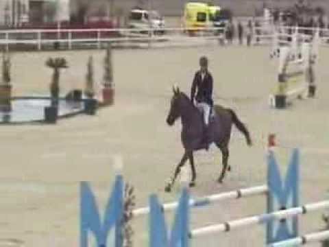 Rock Star Castellane - 140 CSI 2* Oliva MET - 01.03.14