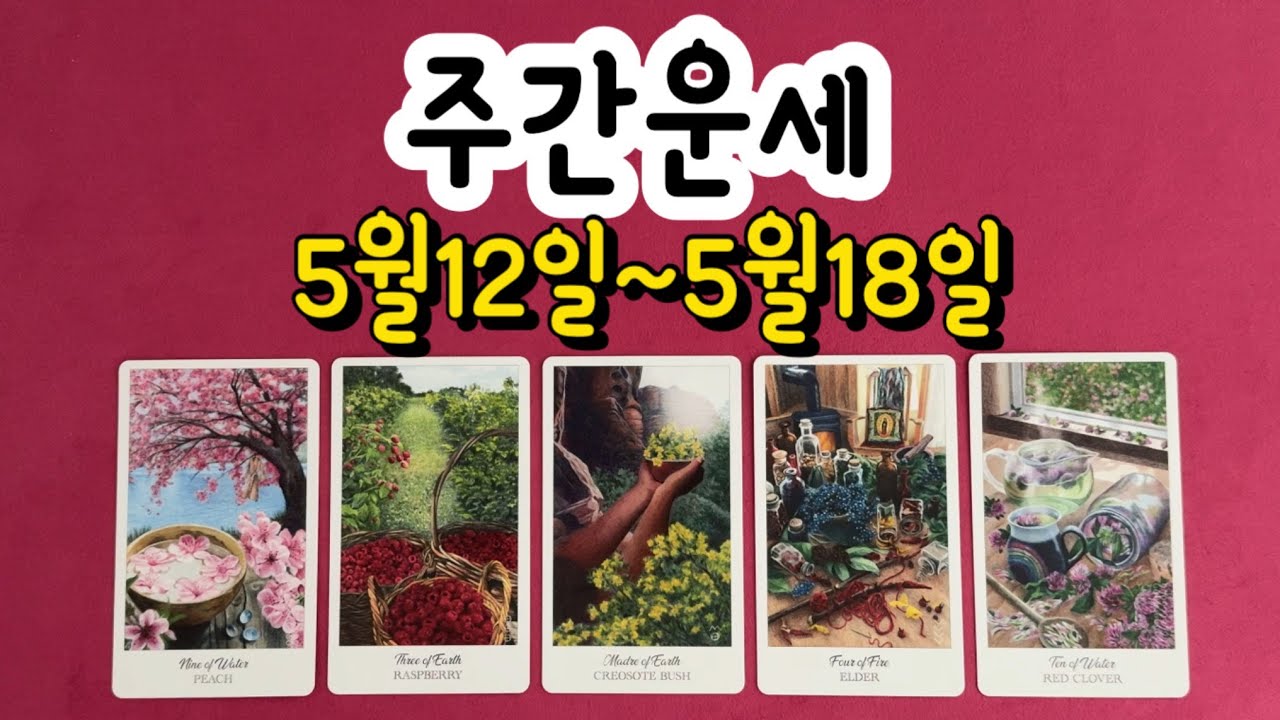[타로/주간운세] 2025년 5월 12일~5월 18일 땡큐타로 주간운세입니다.