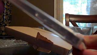 Opening Sakanaction's DocumentaLy