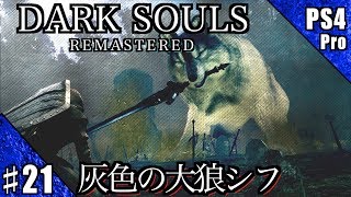#21【PS4Pro】DARK SOULS REMASTERED 実況プレイ【灰色の大狼シフ】