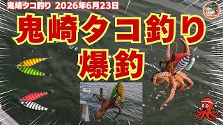 タコ・マダコ