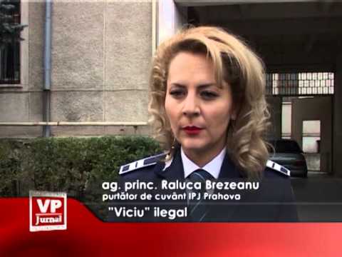 ”Viciu” ilegal