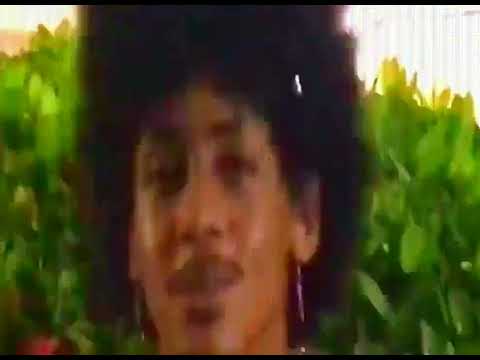 shaarksz - igual você *REUPLOAD*