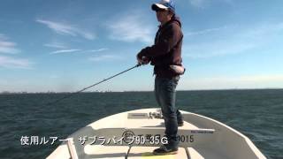 東京湾 ヘヴィーバイブレーションで釣る秋の良型シーバス(前編)