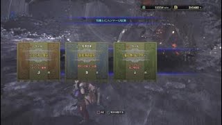 モンスターハンター：ワールド_クシャオダオラ討伐マルチ