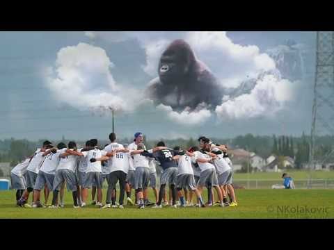 Vortex Open Highlights (CUC 2016) - NKolakovic