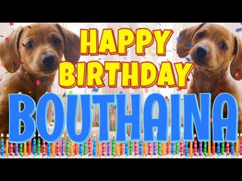 Happy Birthday Bouthaina! ( Funny Talking Dogs ) What Is Free On My Birthday