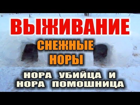 ДОМ ИЗ СНЕГА СНЕЖНАЯ ПЕЩЕРА СНЕЖНАЯ НОРА. УКРЫТИЕ ЗИМОЙ ИЗ СНЕГА Выживание зимой в лесу. Бушкрафт.