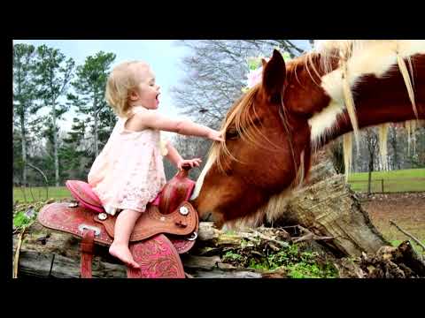 Ever met a Drum Horse?