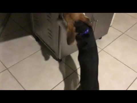 Genaro y su parrilla