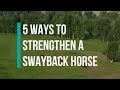 5 Ways to Strengthen a Swayback Horse