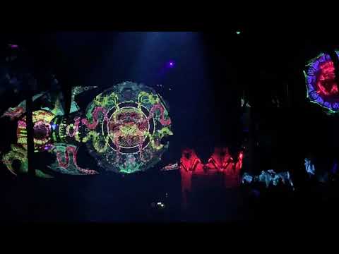 Modem Festival 2019 Confo (part 1)