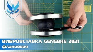 Вибровставка фланцевая стальная Genebre 2831