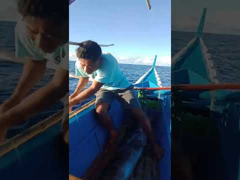 @tigas Ng ulo mga kadugong...