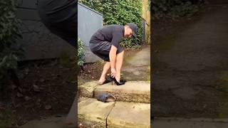 Download lagu When You Have Too Much Free Time mp3