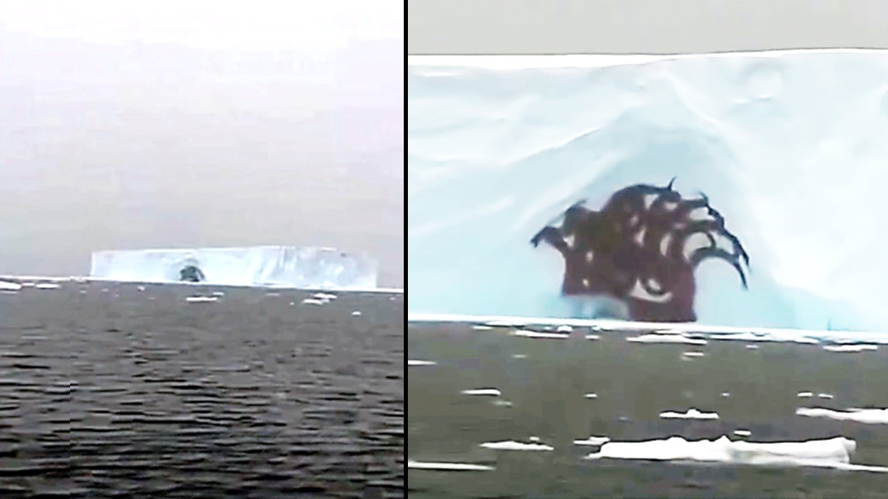 15 Unsolved Ocean Mysteries That Cannot Be Explained