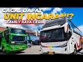 GAGAL DAPAT UNIT INCARAN ️BUS PUTRA PELANGI MASIH BERTAHAN DI LINTAS PADANG MEDAN