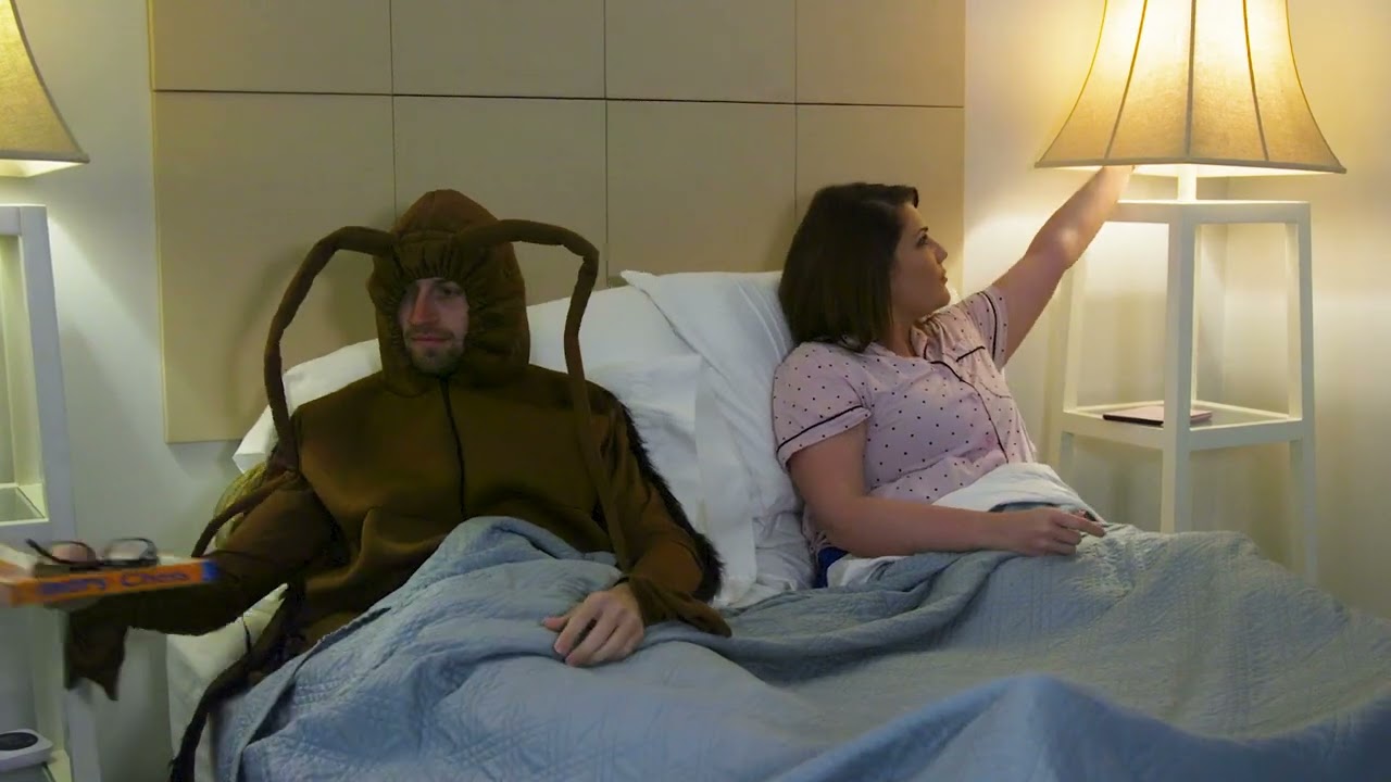 Stop Sharing Your Bed With Unwanted Pest Roommates