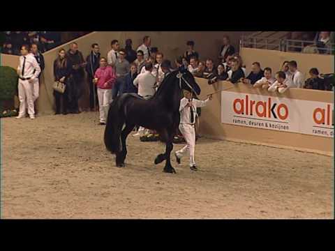 KFPS Hengstenkeuring 2016 rubriek 09