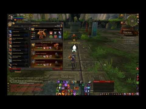 How to defeat Zao - Celestial Tournament Guide, World Of Warcraft