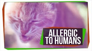 Can Pets Be Allergic to People?