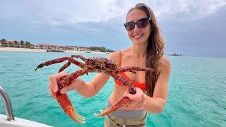 Giant Caribbean King CRAB {Catch, Clean & Cook} Bahamas!