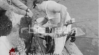 Animal airlift to West Berlin 1966