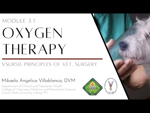 VSUR50 Module 3.1 Oxygen Therapy