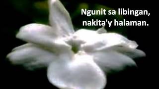 Mabuhay Singers - Sampaguita with Lyrics