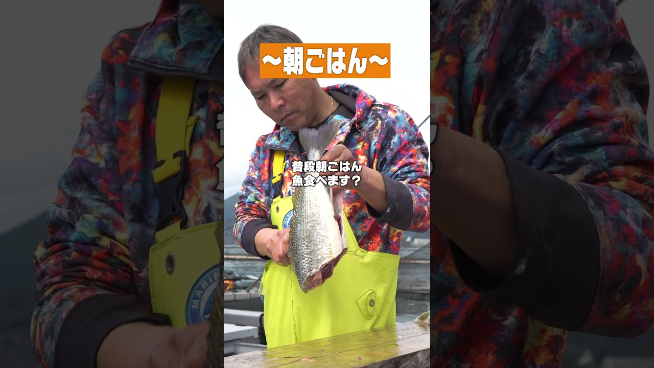 ぬたで漁師の朝ごはん食べてみた❗#高知 #ぬた