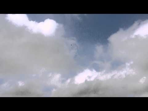 Weston uk velocity running in.