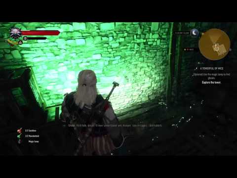 The Witcher 3: Wild Hunt | A Towerful Of Mice - Explore The Tower