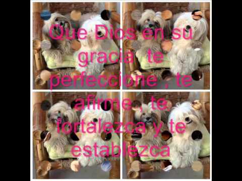 Feliz Cumpleaños , Nashla Bogaert .