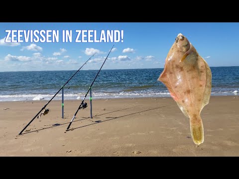 SEA FISHING IN ZEELAND!