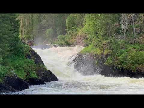 Jenkki - Fools Cry (Cover, Orig. by Fancy)