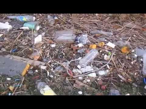 Be the Solution to Pollution