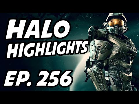 Halo Daily Highlights | Ep. 256 | Proximitty, SpartanTheDogg, TheQueenViper, Neastlake, bubudubu_